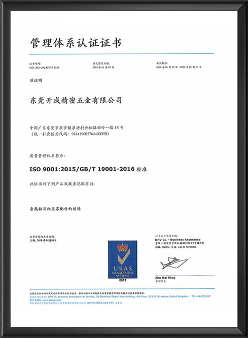 ISO9001管理体系认证中文版