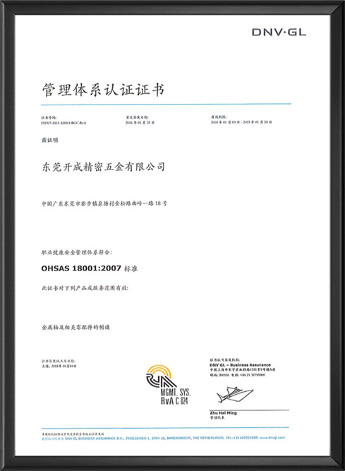 ISO18001管理体系认证中文版